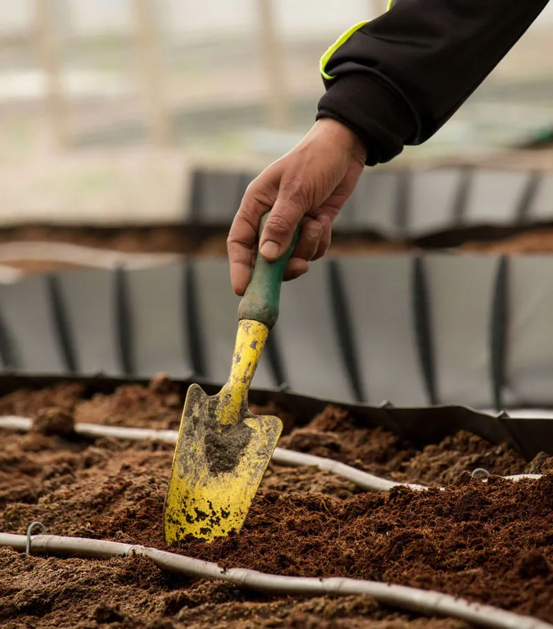 Per Architetto: Transformando Espaços e Contribuindo para um Mundo Melhor